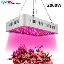 Best led grow light 2000w indoor pants